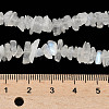 Natural Rainbow Moonstone Chip Beads Strands X-G-C195-01-5