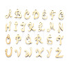 201 Stainless Steel Charms STAS-T044-217G-1