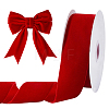 Velvet Ribbon OCOR-WH0078-529B-1