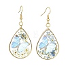 Transparent Epoxy Resin Dangle Earrings EJEW-JE07205-02-3