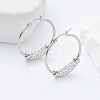 304 Stainless Steel Hoop Earrings BN4899-2