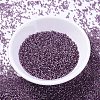 MIYUKI Delica Beads SEED-J020-DB2169-2