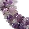 Natural Lepidolite/Purple Mica Stone Beads Strands X-G-P497-03A-06-2
