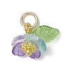 Transparent Resin & Acrylic Pendants PALLOY-JF04358-3