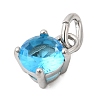 Birthdaystone Theme December 304 Stainless Steel Charms STAS-B128-60P-12-2