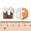 Opaque Cartoon Resin Cabochons X-CRES-R456-12A-3