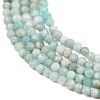 Natural Amazonite Bead Strands G-P279-42-3mm-6