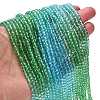 Transparent Painted Glass Beads Strands LS-DGLA-A034-T3mm-A17-2