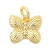 Brass Charms KK-C139-17G-1