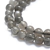 Natural Grey Moonstone Beads Strands G-A245-A05-01-3