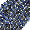 Natural Sodalite Beads Strands G-K389-E74-01B-1