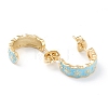 Semicircular Brass Enamel Half Hoop Earrings EJEW-L234-037G-2