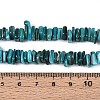 Natural Freshwater Shell Beads Strands SHEL-T020-40D-4