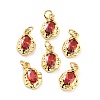 Brass Micro Pave Cubic Zirconia Pendant X-ZIRC-P089-19G-F-1