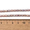 Natural Cultured Freshwater Pearl Beads Strands PEAR-I007-01L-02-5