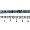 Natural Blue Spot Jasper Beads Strands G-Z045-A08-01-5