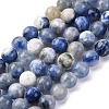 Natural Sodalite Beads Strand GSR8mmC013-4