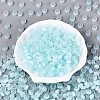 FGB Grade A Drawbench Style Glass Seed Beads SEED-Q040-02A-05-1