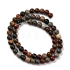 Natural Picture Jasper Beads Strands G-H037-A01-01-3