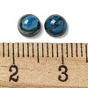 Dyed Natural Blue Agate Cabochons G-Q173-01B-20-3