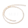 Natural Freshwater Shell Beads Strands X-SHEL-P017-01B-02-2