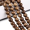 Natural Persian Jade Beads Strands G-A255-A02-05A-5