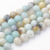 Natural Flower Amazonite Bead Strands G-G735-61-8mm-1