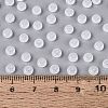Transparent Glass Seed Beads SEED-Q041-01A-4