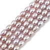 Natural Cultured Freshwater Pearl Beads Strands PEAR-I007-01A-03C-2