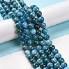 Natural Apatite Beads Strands X-G-S333-8mm-031A-2