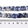 Natural Blue Spot Jasper Beads Strands G-T138-172-5