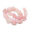 Natural Rose Quartz Beads Strands G-R421-02-2