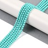 Synthetic Turquoise Beads Strands G-U004-02N-2