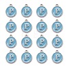 Platinum Plated Alloy Enamel Charms LS-ENAM-S118-04P-P-2