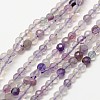 Natural Amethyst Bead Strands G-A129-2mm-E01-1