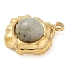 Natural Grey Aventurine Pendants LS-STAS-K291-03B-03-2