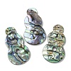 Natural Paua Shell Pendants Geometric Charms SSHEL-N038-01C-1