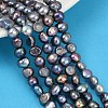 Natural Cultured Freshwater Pearl Beads Strands PEAR-P064-20A-03B-1