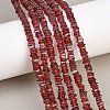Natural Red Garnet Beads Strands G-Z152-F03-03-1