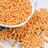 Glass Seed Beads SEED-L011-04A-06-1