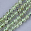 Natural Prehnite Beads Strands LS-G-S333-6mm-032-1