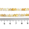 Natural Trochus Shell Beads Strands BSHE-H109-12B-5