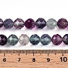 Natural Rainbow Fluorite Beads Strands G-T140-22B-5