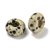 Natural Dalmatian Jasper Beads X-G-Q173-03A-24-2