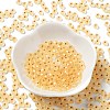 6/0 Glass Seed Beads SEED-Z001-B-E21-2