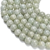 Natural Myanmar Jade/Burmese Jade Beads Strands G-L642-B11-8mm-4