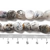 Natural White Opal Beads Strands G-C179-F02-01-5