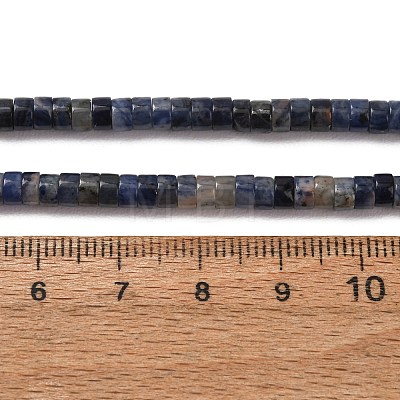 Natural Sodalite Beads Strands G-P468-19-1