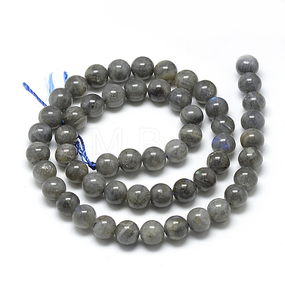Natural Labradorite Beads Strands G-R446-8mm-14-1