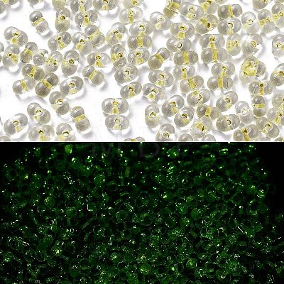 Luminous Glass Seed Beads SEED-A033-07K-1